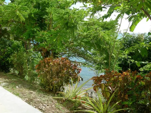 Casa del Vega a Little Peace of Heaven Hotels in Castries