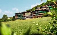 Natura Hotel Bodenmais - Inkl Soft- Und Heißgetränkeflat Hotels near Burganlage Altnußberg