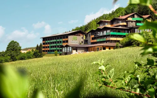 Natura Hotel Bodenmais - Inkl Soft- Und Heißgetränkeflat Hotels in Böbrach