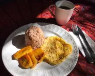 Casajungla Hostel