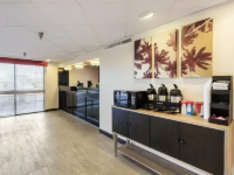 Tropical Palms Hotel Hotels in Clearwater