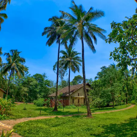 The Orchard Resort