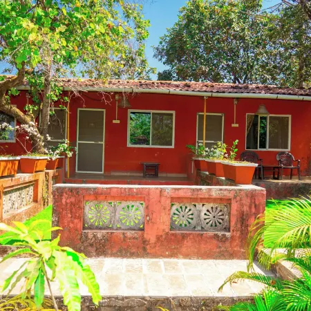 Wild Camp- the Nature Resort