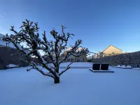 B&B Aline Florentine - Adults Only - Luxury B&B - Chambres d'Hôtes - Zimmer Frei Hotels in Kortenberg