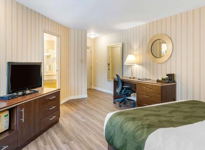 Quality Hotel & Suites