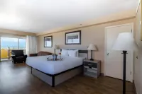 Emerald Beach Hotel Hotels near Corpus Christi International Airport