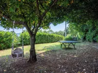 Charming Istrian Retreat with Modern Comforts and Timeless Character Hotels in Opcina Krsan