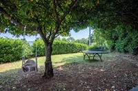 Charming Istrian Retreat with Modern Comforts and Timeless Character