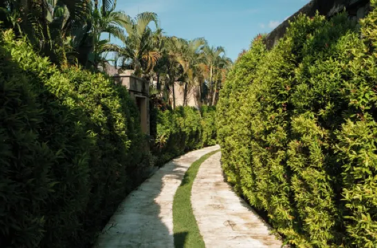 The Bidadari Villas and Spa