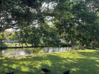 The Black&White Condo