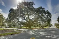 Thomasville Cottage Near the Big Oak and Downtown! - 3-نجوم