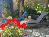 샴브르 데트 블루 마틴스