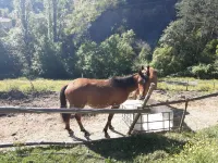 Lovely detached bungalow Hotels in Rigaud