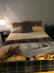Charming Blue Room with Wifi Hotels near Liquid Mechanics Brewing Company
