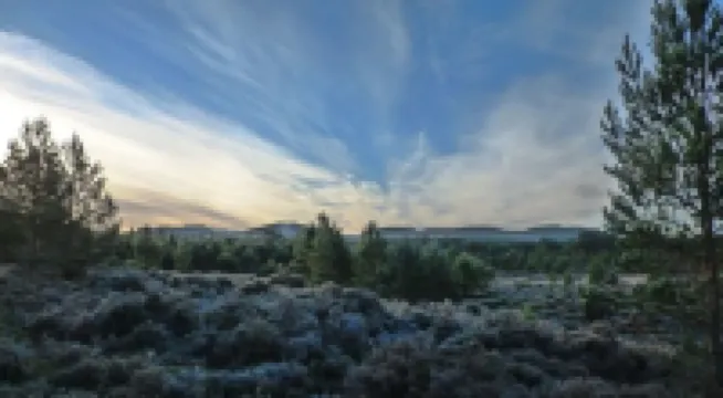 Bothy near the woods 內希橋酒店