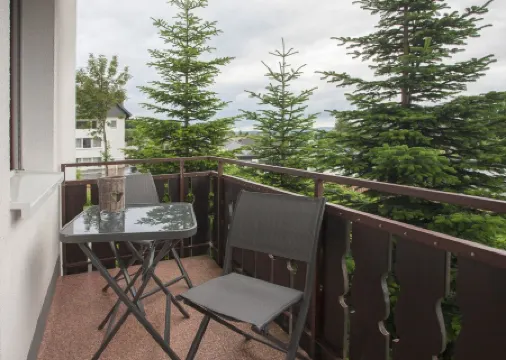 Vacation apartment Casa Waltenberg, Winterberg center