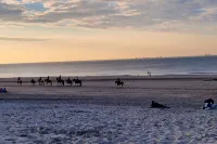Zeeland Chaletje in Oostkapelle on a family-friendly park - 2-Star