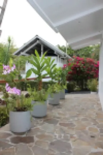 Large calm house surrounded by nature