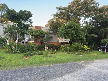 Argyles Too! A brand new Loft Efficiency