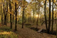 Triple Creek 3 bedroom Cabin near Mohican Park, Malabar Farms & Snow Trails