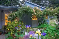 Peaceful Garden Oasis with Breakfast Provided