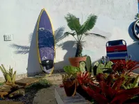 Little Lamb's Sun. A few meters from the beach.