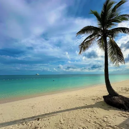 Palm Tree Cove - Stunning Partial Ocean Views; Beachfront Location!