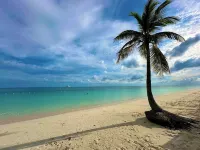 Palm Tree Cove - Stunning Partial Ocean Views; Beachfront Location!