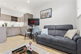 Picturesque City Apartment Tourists Families Contractors