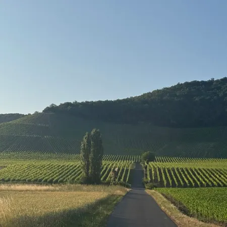 Panorama 180°