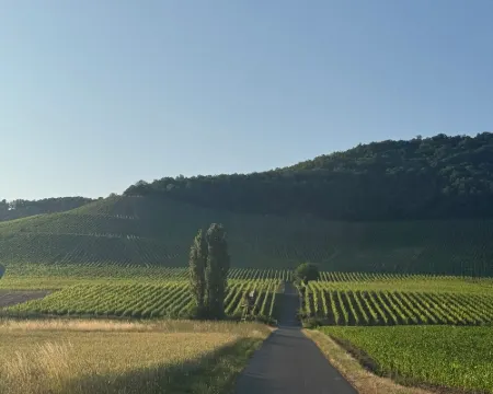 Panorama 180° Hotels in Kitzingen