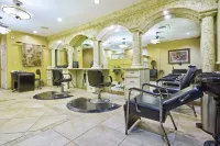 클럽 위덤 스타 아일랜드