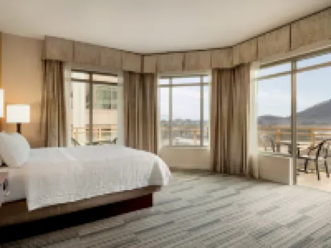 ハンプトン  イン & スイーツ ロアノーク  ダウンタウン ロアノークのホテル