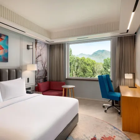 Ramada Encore by Wyndham Rajbagh Srinagar