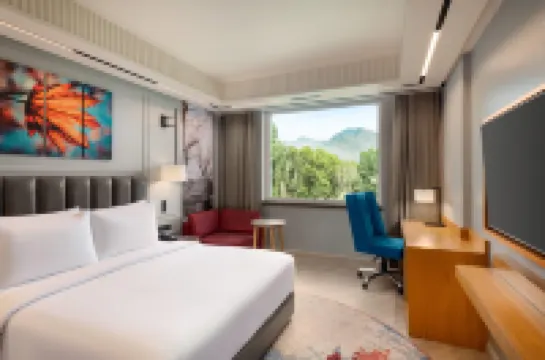 ラマダ アンコール バイ ウィンダム ラジバグ スリナガル