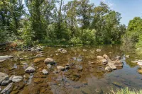 Sequoia Vintage A-frame River Retreat