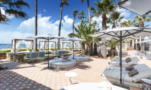 The Oasis by Don Carlos Resort