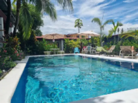 Wide Mouth Frog Quepos