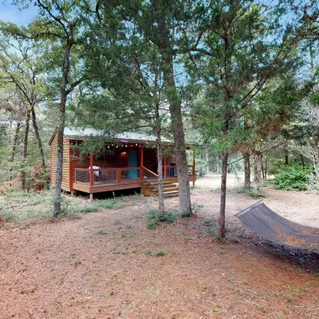 Serene & Secluded Paige Cabin: Dogs Welcome!