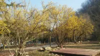 구례 지리산반내골오토캠핑장 - 수영장