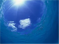 Reef Inn Kuniyoshi Hotels in Tokashiki