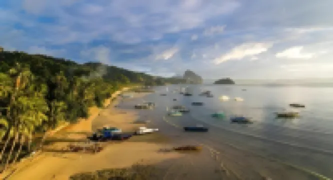 イピル スイーツ エル ニド