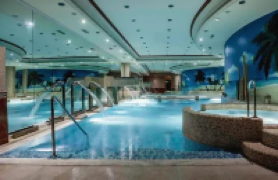Palace Hotel Legnano