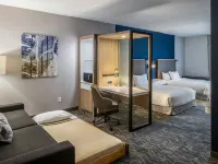 SpringHill Suites Canfield Hotels in Canfield Township