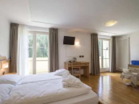 Hotel Erica Hotels in Tesero