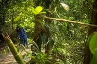 Wayanad Wild - A CGH Earth Experience - Wi-Fi