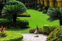 Velas Vallarta Suite Resort All-Inclusive