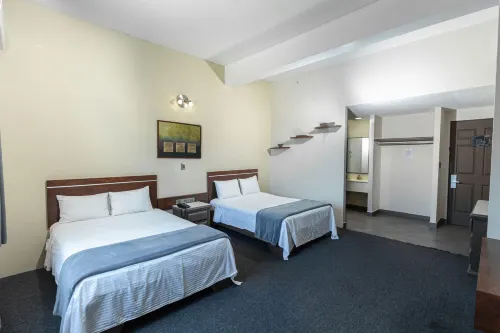 Hotel Plaza del Arco - Monterrey - que admiten mascotas