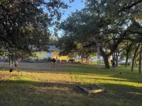 Cozy cabin in adorable Granite Shoals with WiFi, AC