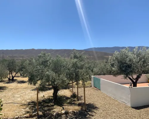 Quality Rustic Retreat in Tabernas Countryside Hoteles en Tabernas